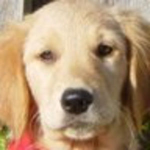 Meet your Posher, Gary